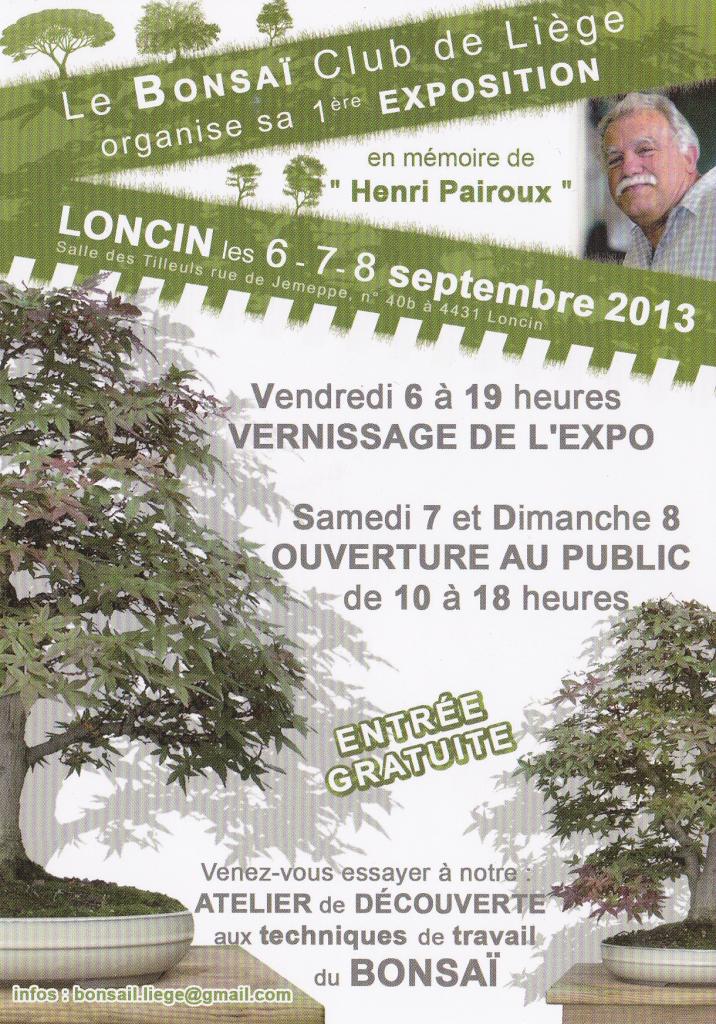 expo_bonsaï_club_de_Liège_septembre_2013