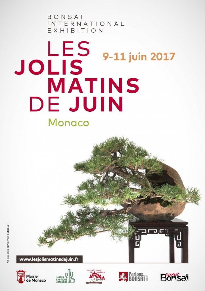 expo-bonsai-les-jolis-matin-de-juin-2017