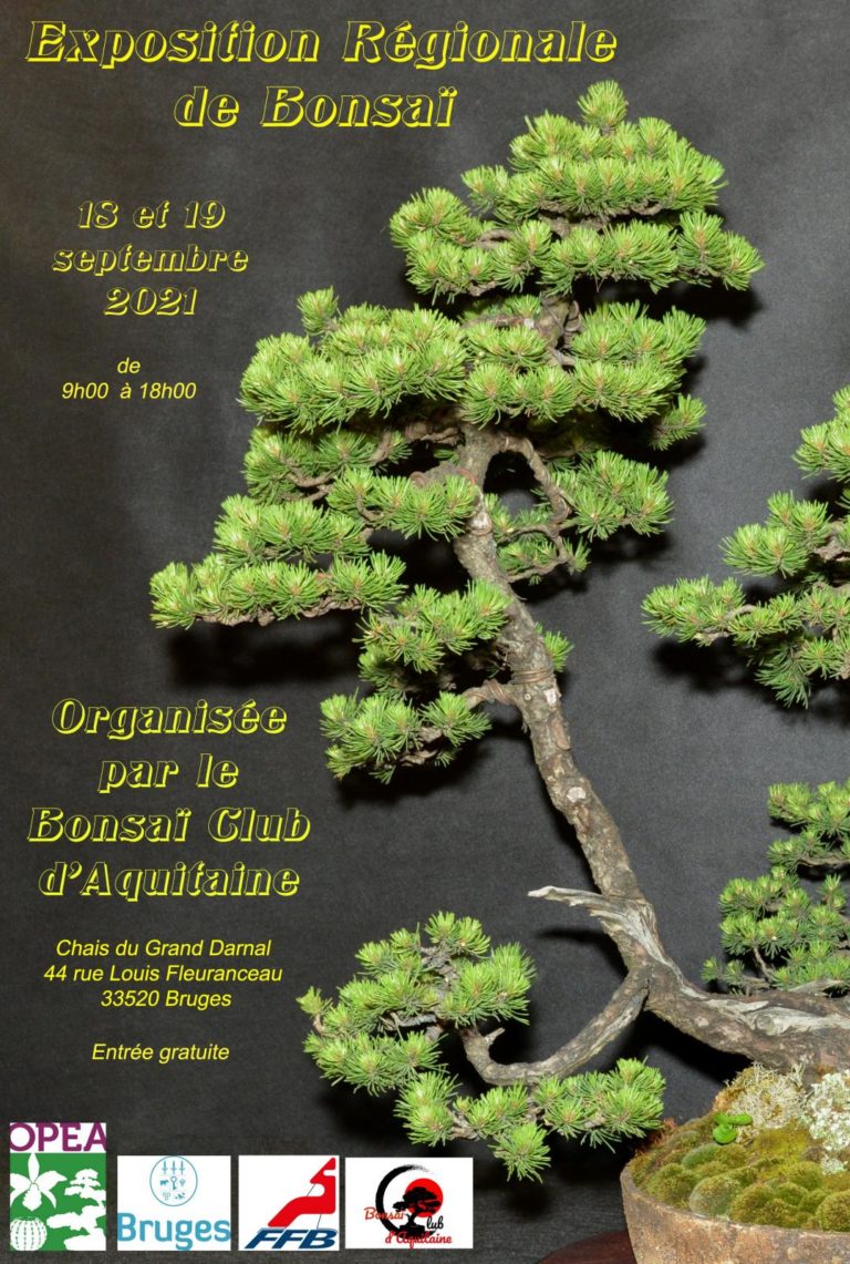 Exposition Régionale de Bonsaï les 18 et 19 septembre 2021 à Bruges