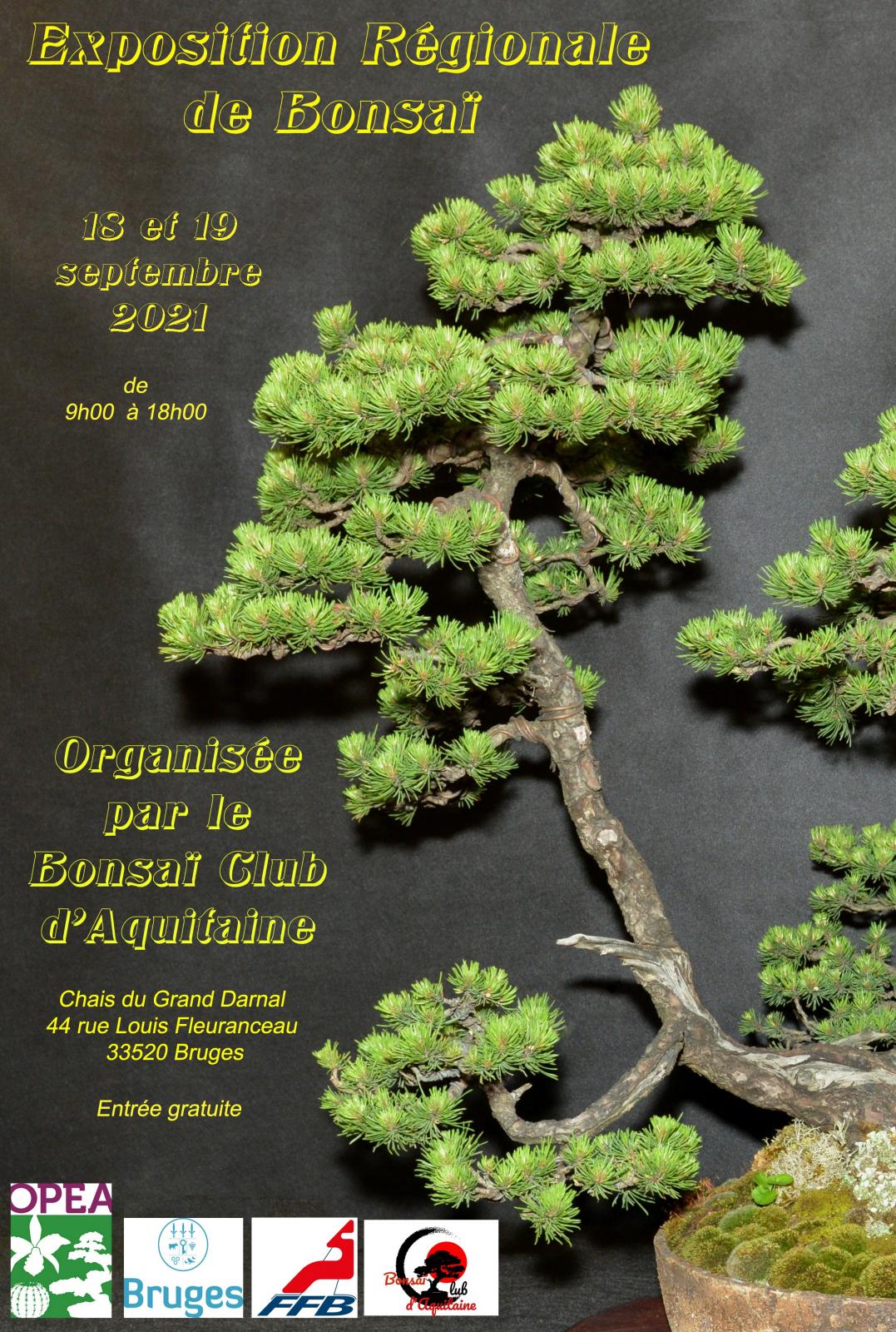 Exposition Régionale de Bonsaï les 18 et 19 septembre 2021 à Bruges